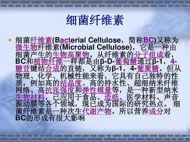 细菌纤维素（细菌纤维素生物敷贴）