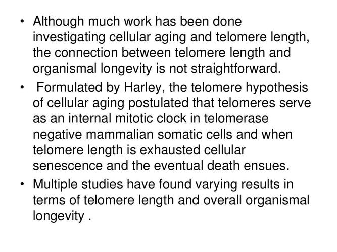 telomere（telomeres翻译）